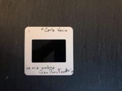 Tosatti per Carla Vasio. La mia Ombra Premio 2018